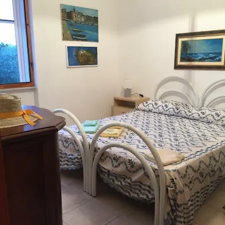 La Finestra Sugli Ulivi Appartement *